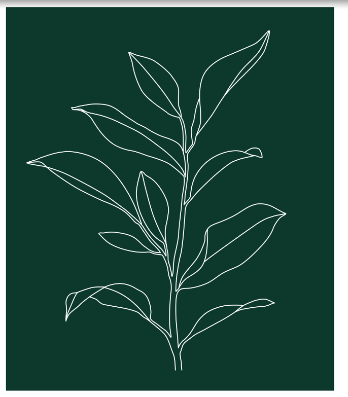 Reusable Swedish Cellulose Sponge Cloths - Everleaf