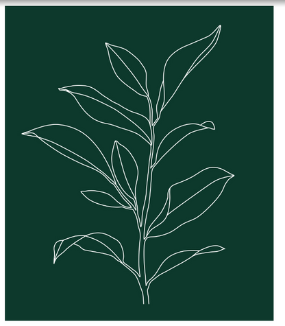 Reusable Swedish Cellulose Sponge Cloths - Everleaf